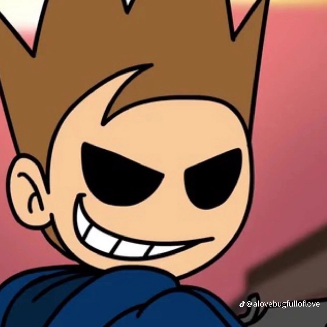 TOMTORD thumbnail
