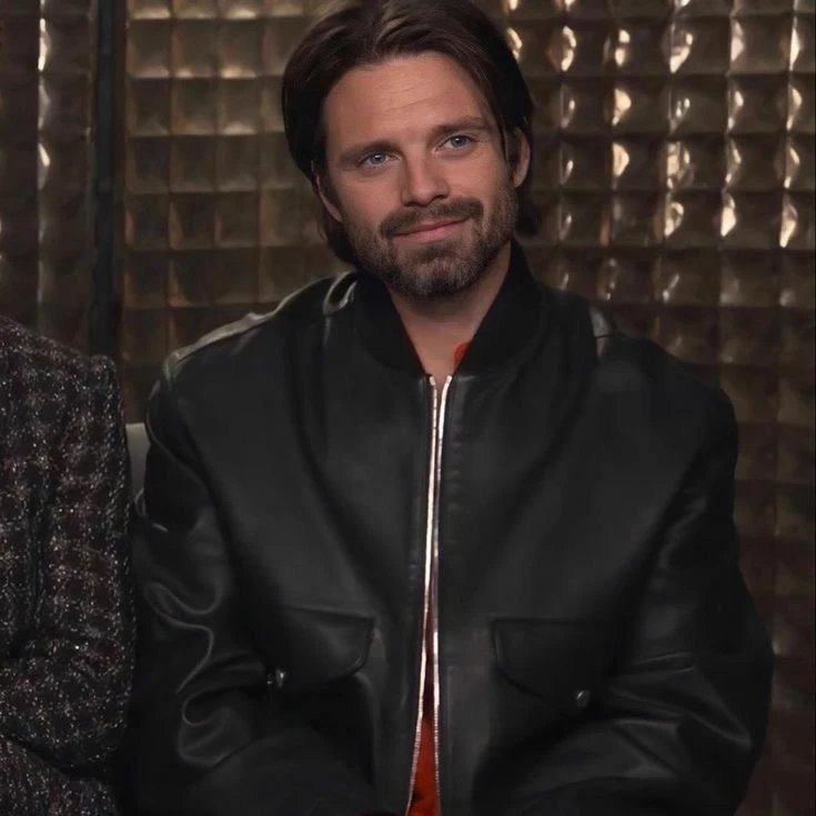 Sebastian Stan thumbnail