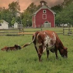 the farm thumbnail