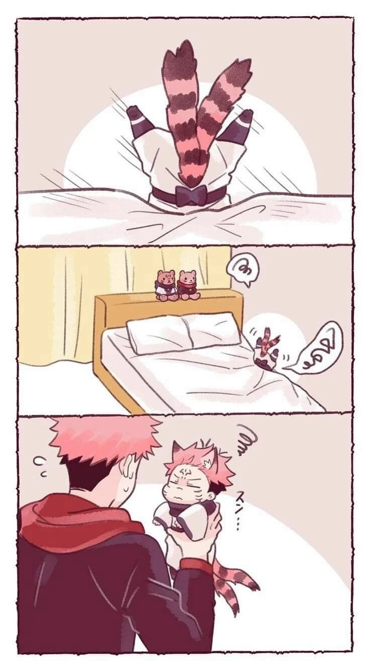 Sukuna Cat. thumbnail