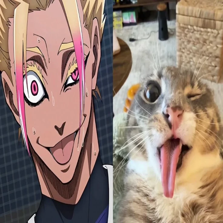 Joe