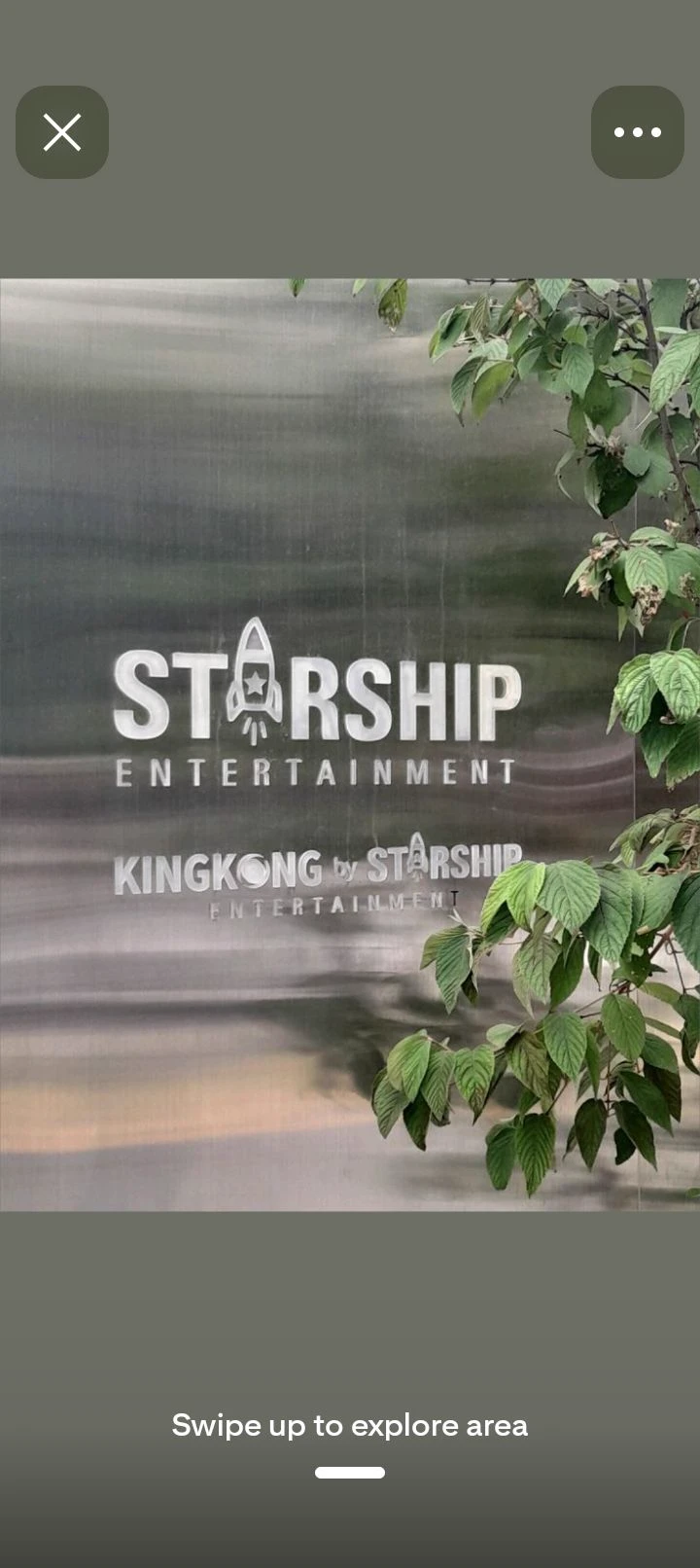 K-pop Life thumbnail