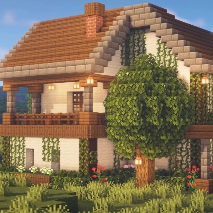 DSMP thumbnail