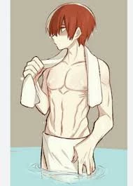 Shoto Todoroki BORRACHERA thumbnail