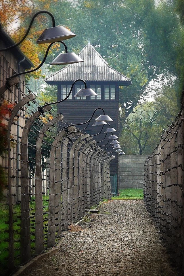 RPG Auschwitz Birkenau  thumbnail