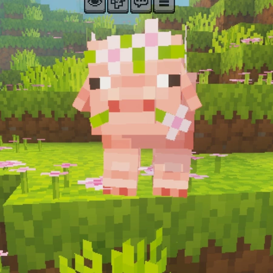Cors