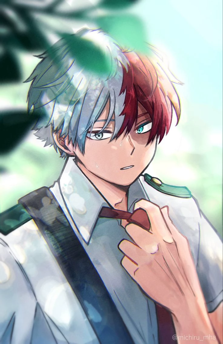-Shoto Todoroki- thumbnail