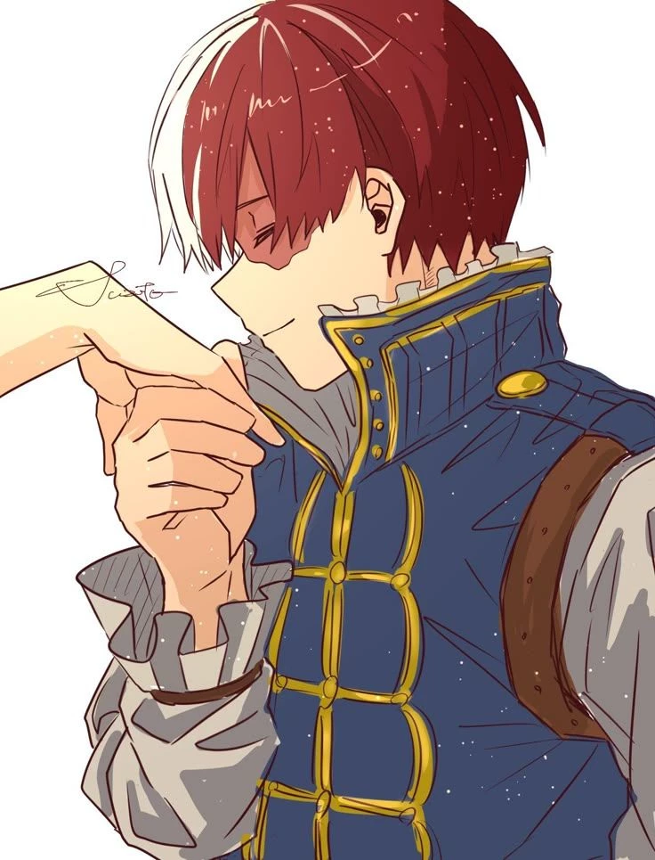 Shoto Todoroki thumbnail