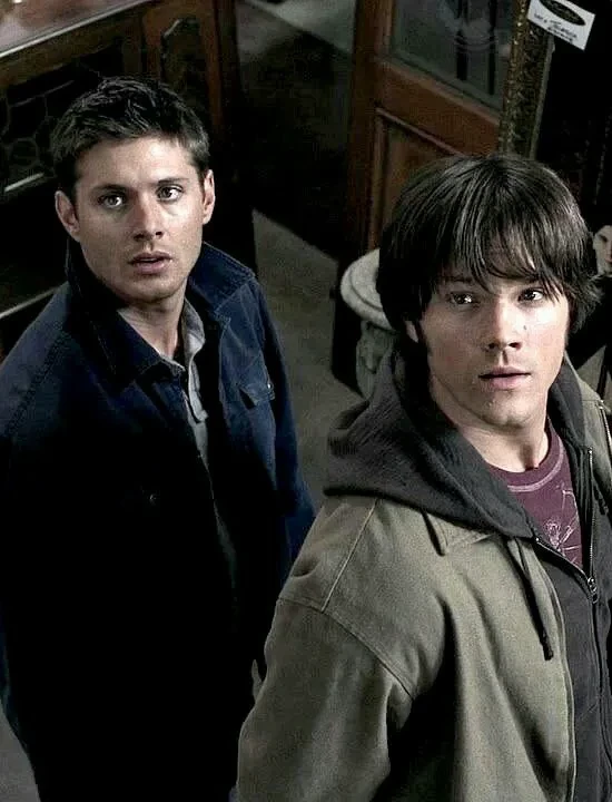 Winchester brothers- supernatural thumbnail