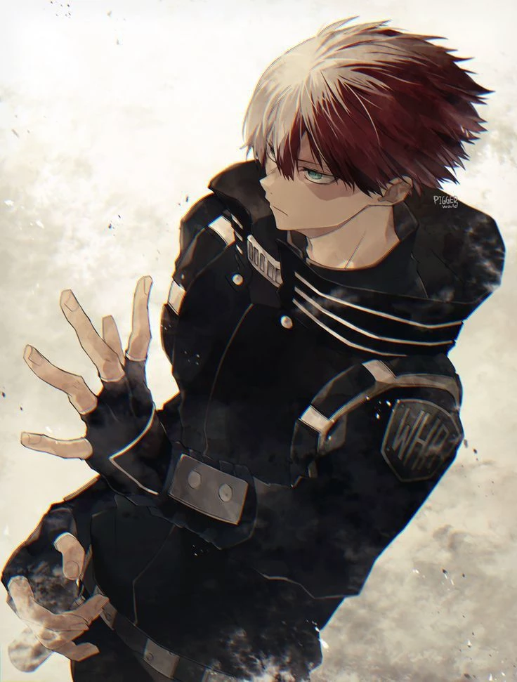 Todoroki Shoto thumbnail