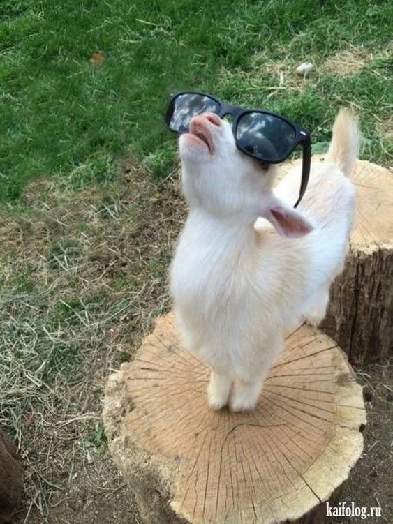 Goat Simulator thumbnail