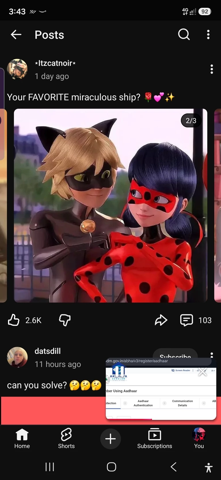 Ladybug and Chat Noir  thumbnail