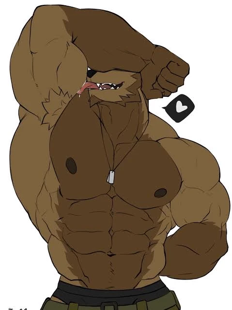 Bradley thumbnail
