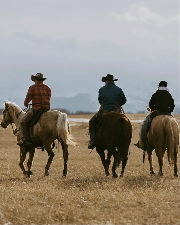 More Than A Ranch Guest thumbnail