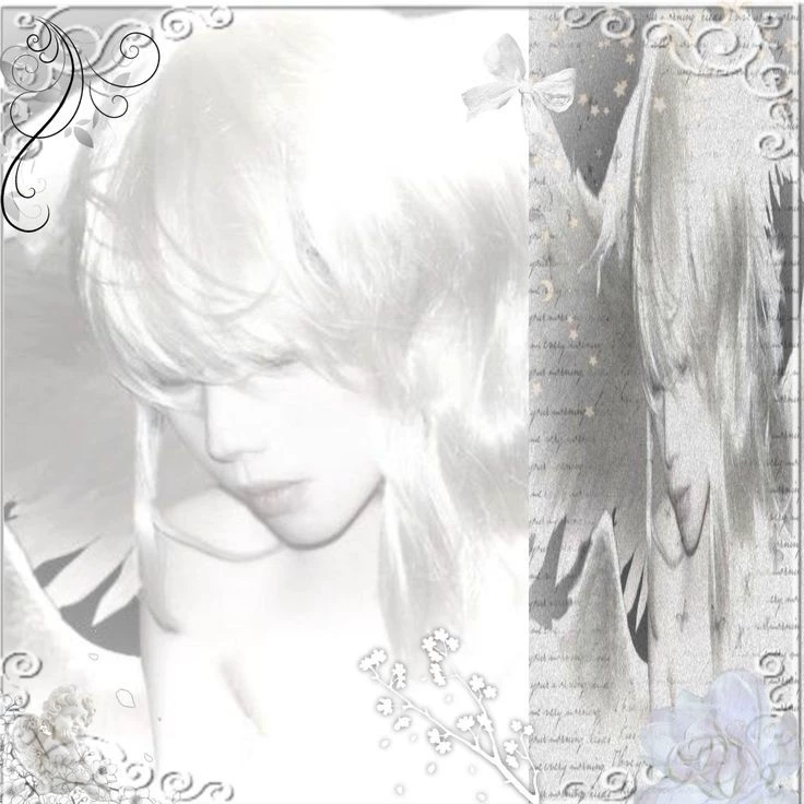 ʚ Shunji ɞ 