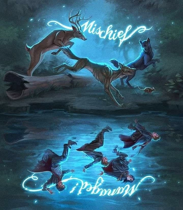 The marauders - someone new? thumbnail