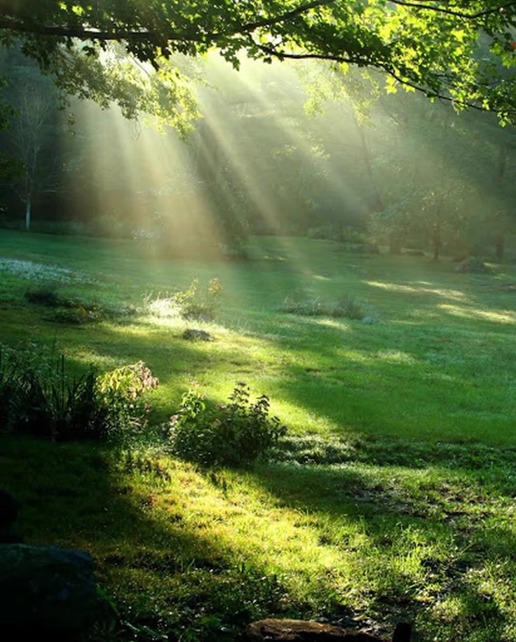 Eden \[it might be like the one you are in in Hazbin Hotel\] thumbnail