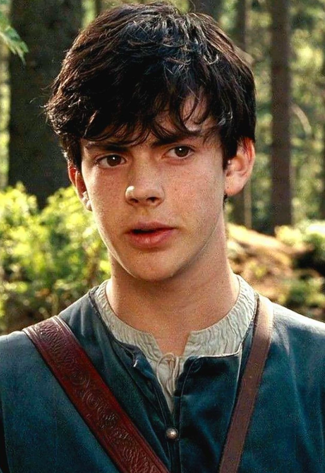 Edmund Pevensie  thumbnail