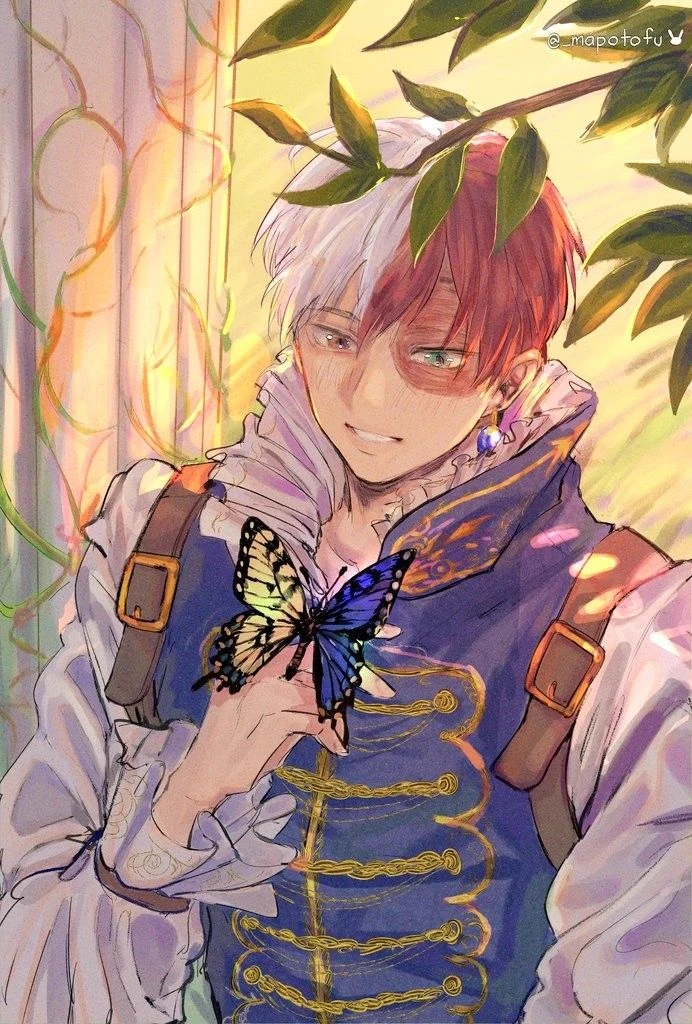 Prince Shoto Todoroki thumbnail