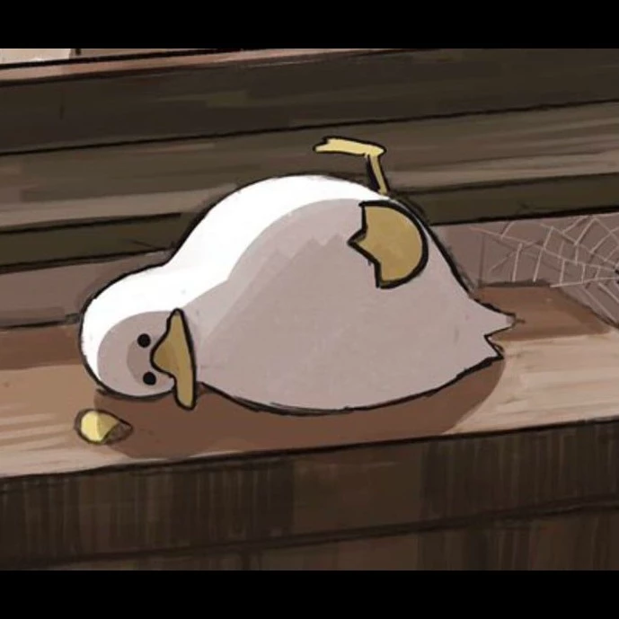 Duck !!