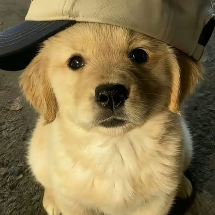 Ricardo