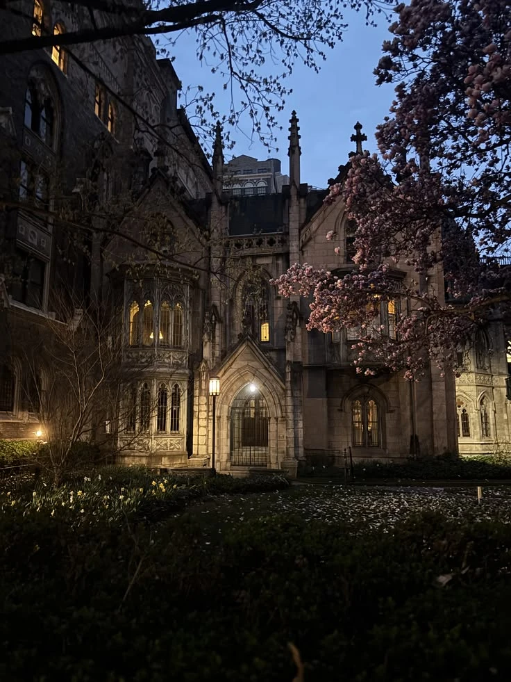 University thumbnail