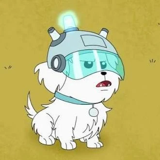Snowball (formerly Fluffy) thumbnail