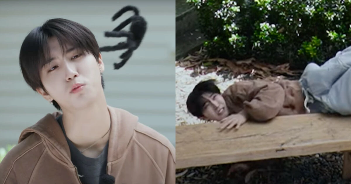 Han Jisung  thumbnail