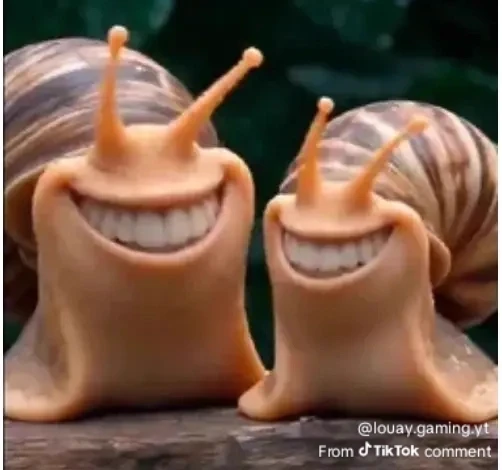 snail thumbnail