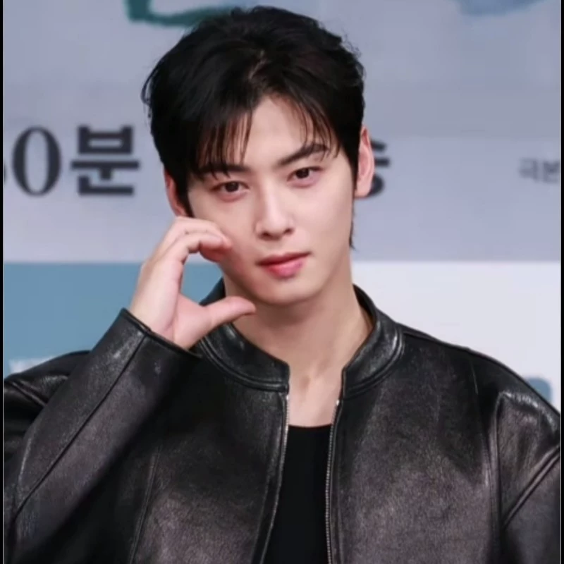 cha eun woo
