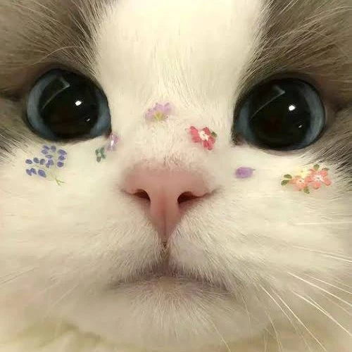Luo
