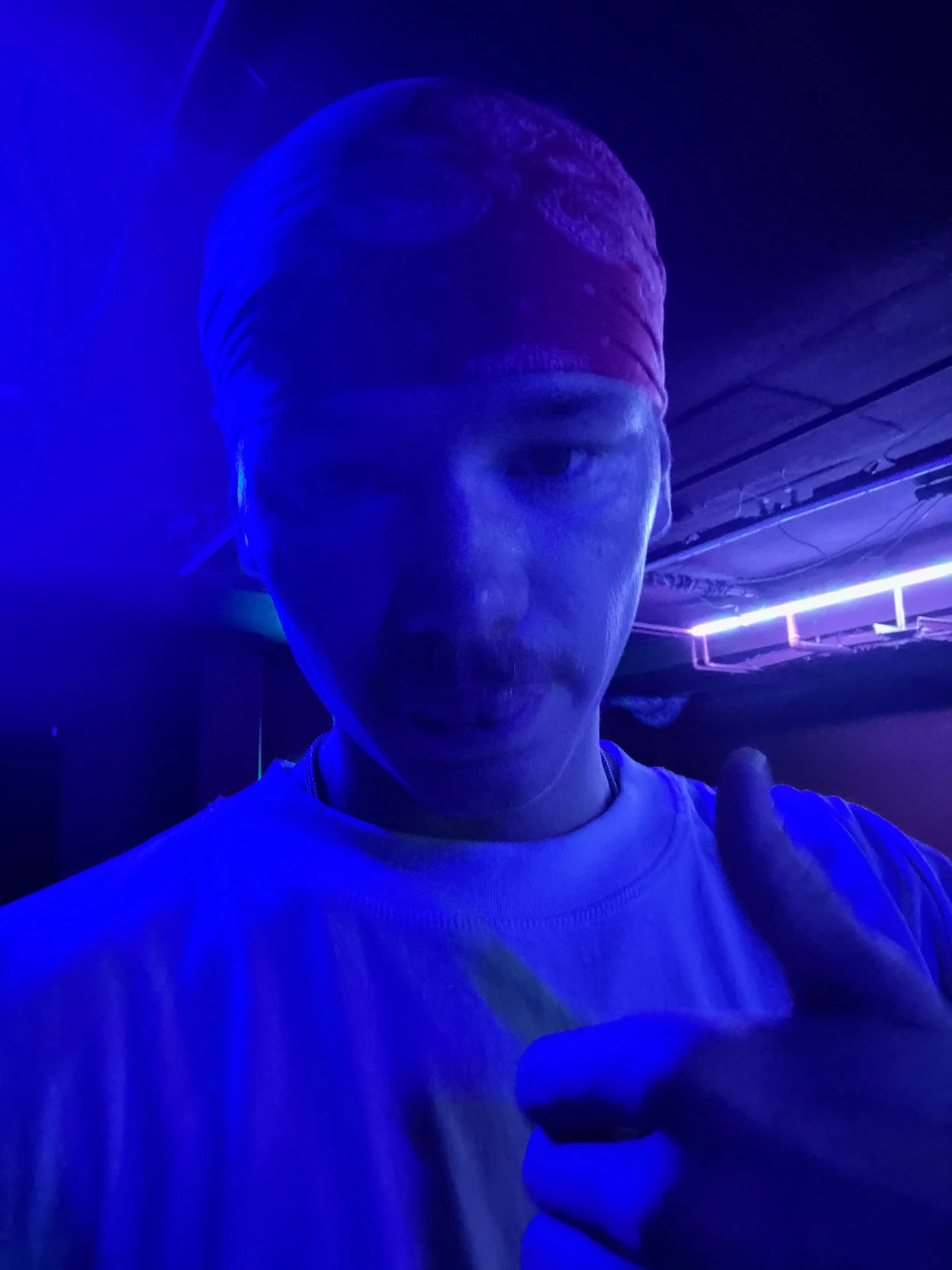 Martinus Gunnarsen thumbnail