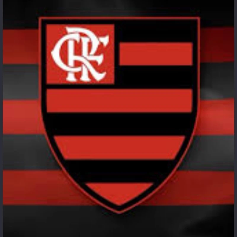 Flamengo players thumbnail