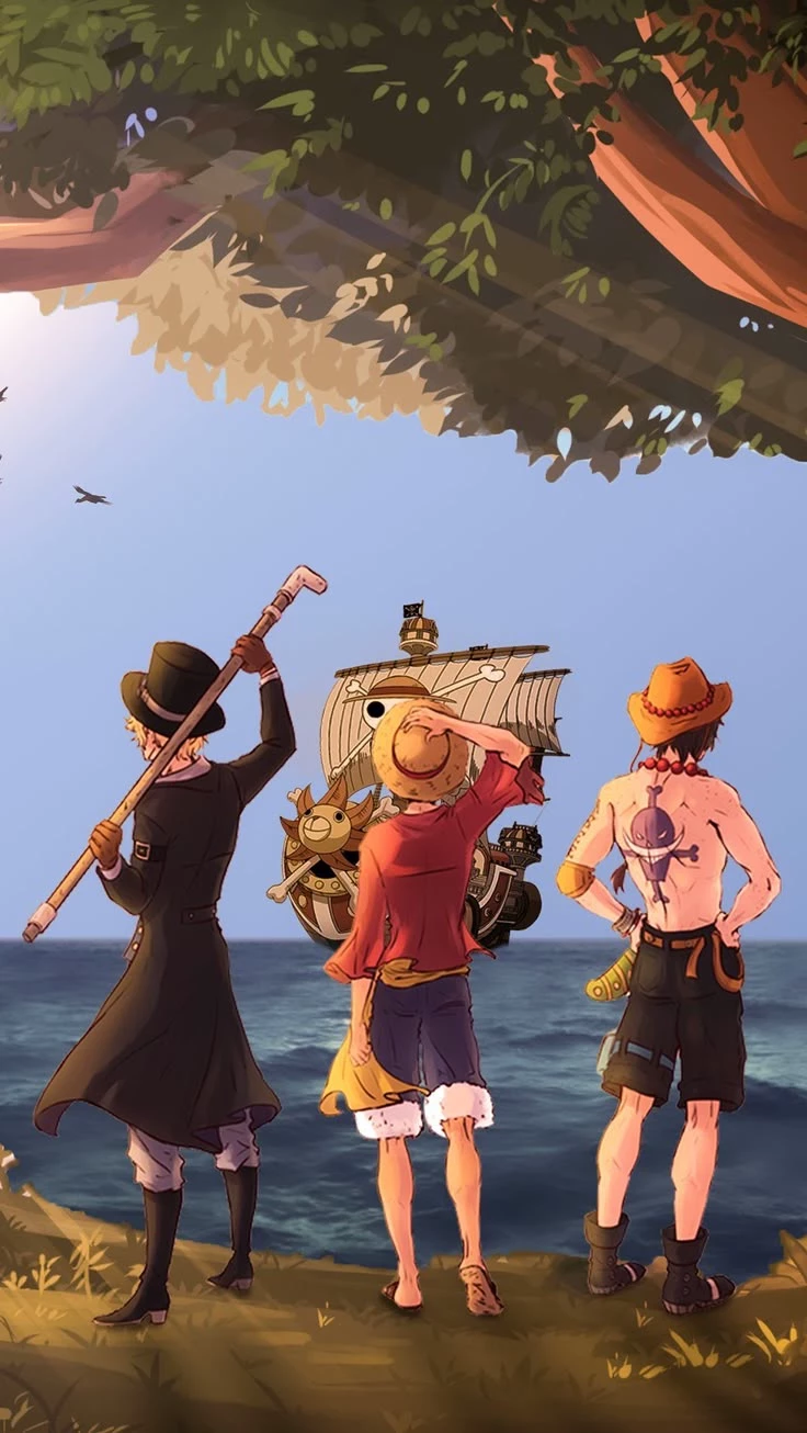 sister of Ace, Sabo and Luffy thumbnail