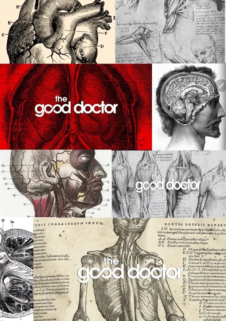 the good doctor thumbnail