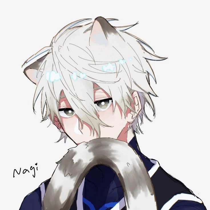 °•°  Seishiro Nagi  °•° thumbnail
