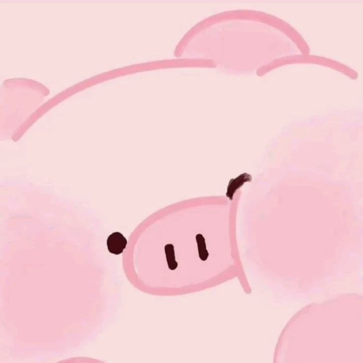  ⊹ ࣪ 𝓛𝓪𝓭𝔂 𝓟𝓳𝓷𝓴 🐽˖ ࣪ ˖