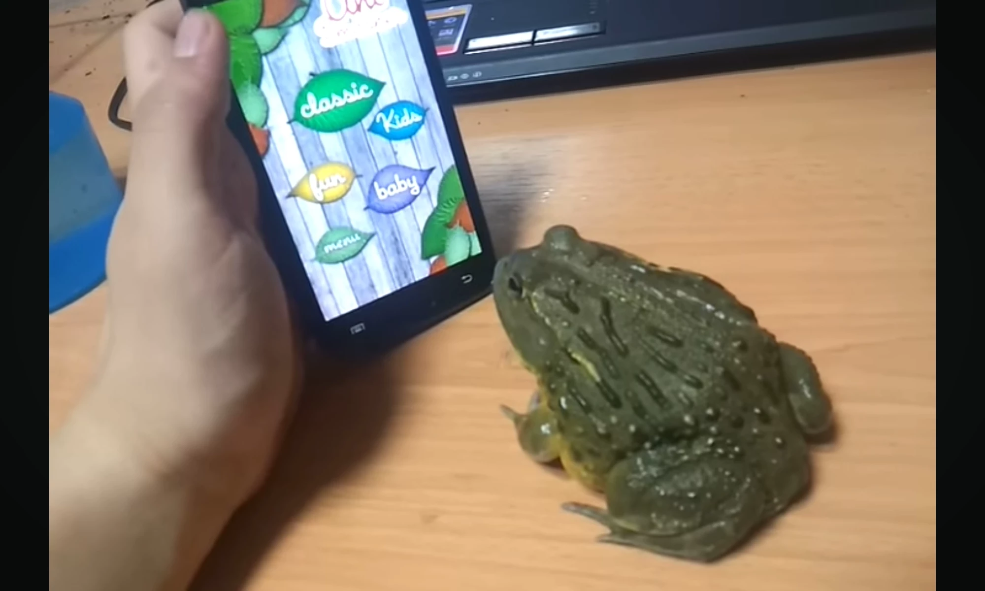 ?~ raise a Bullfrog ~¿ thumbnail