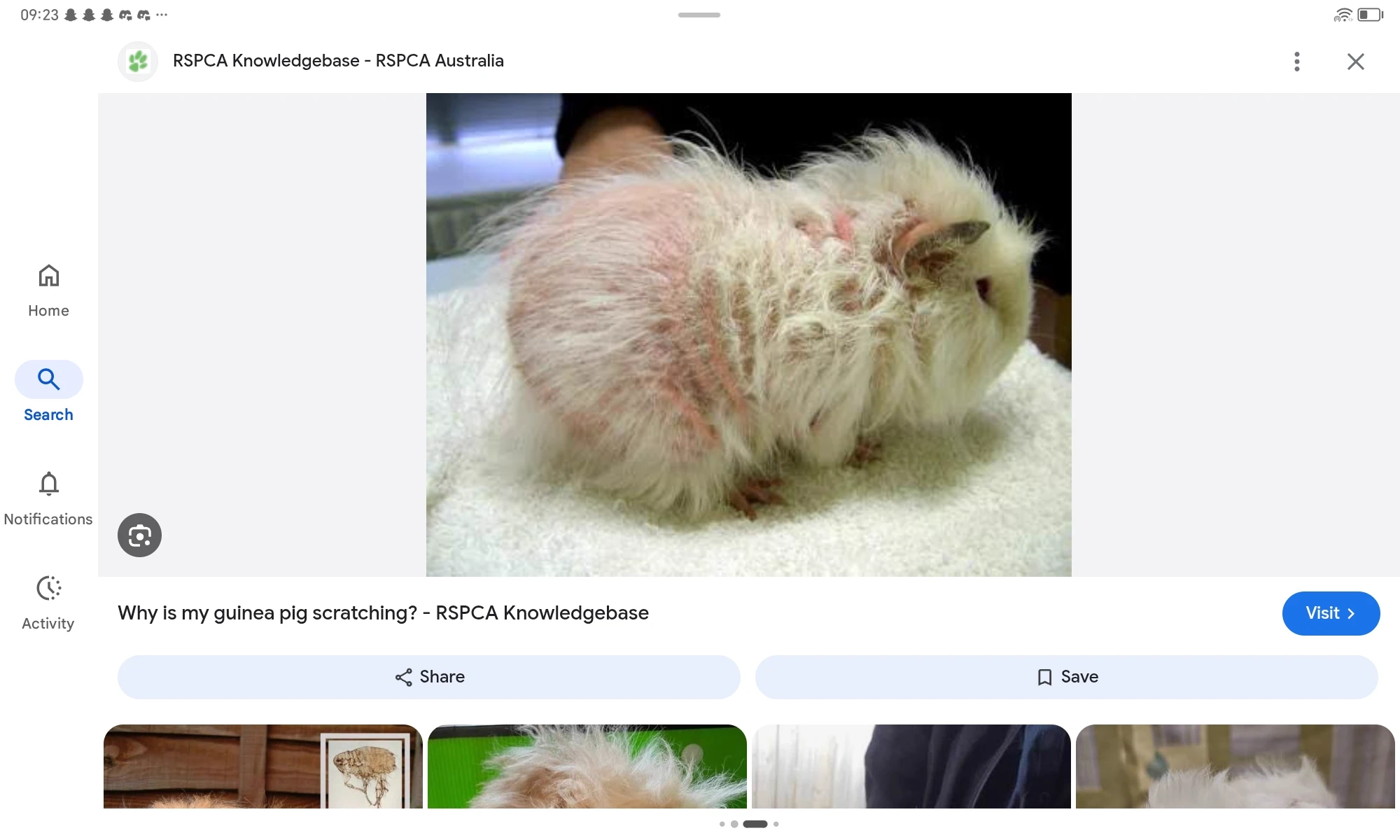PET VET SIMULATION BITCH HELL YEAH BOI thumbnail