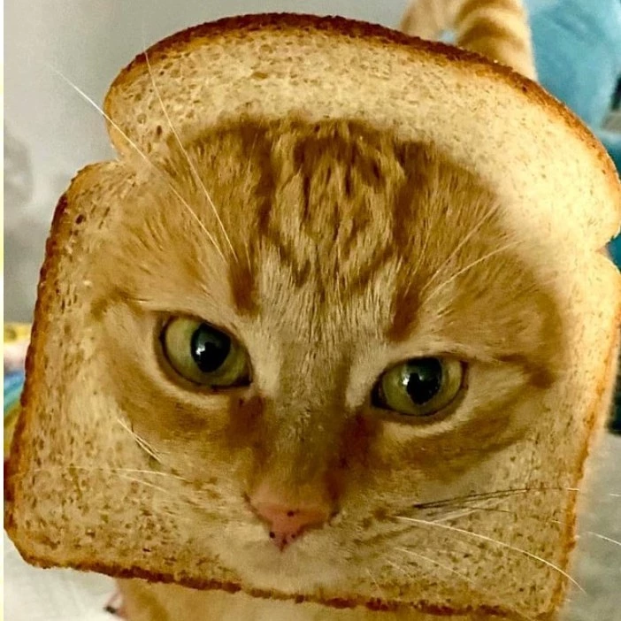 Gato empanado:>
