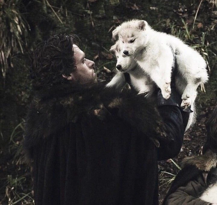 Robb Stark thumbnail
