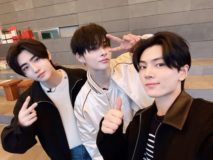 Enhypen (Sunghoon, Niki, Jay, Heeseung, Jake, Jungwon, Sunoo) thumbnail