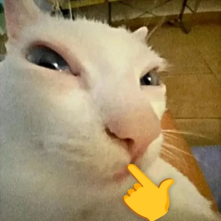 Pedro