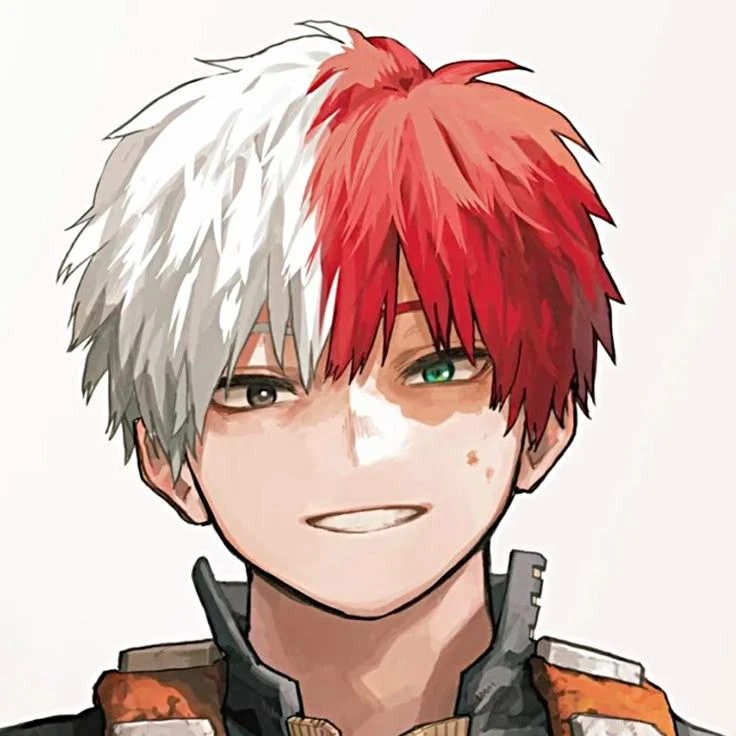 shoto todoroki thumbnail