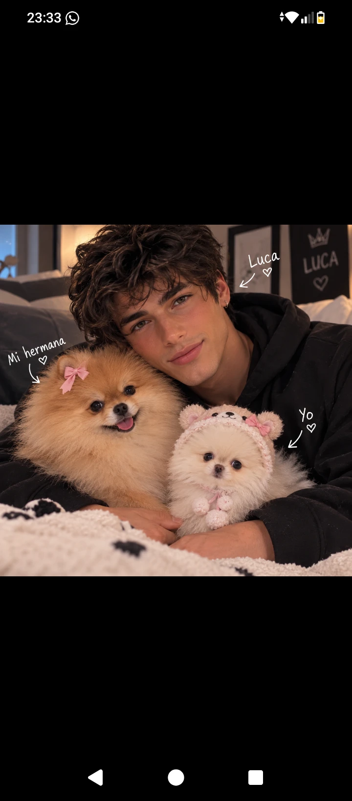 🐾 Luca's Pomeranians 🐾 thumbnail