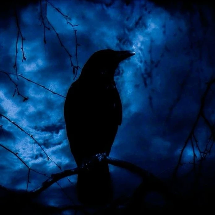 DarkRaven001