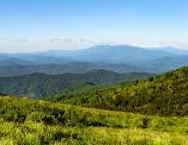 Amazing Sheken thumbnail