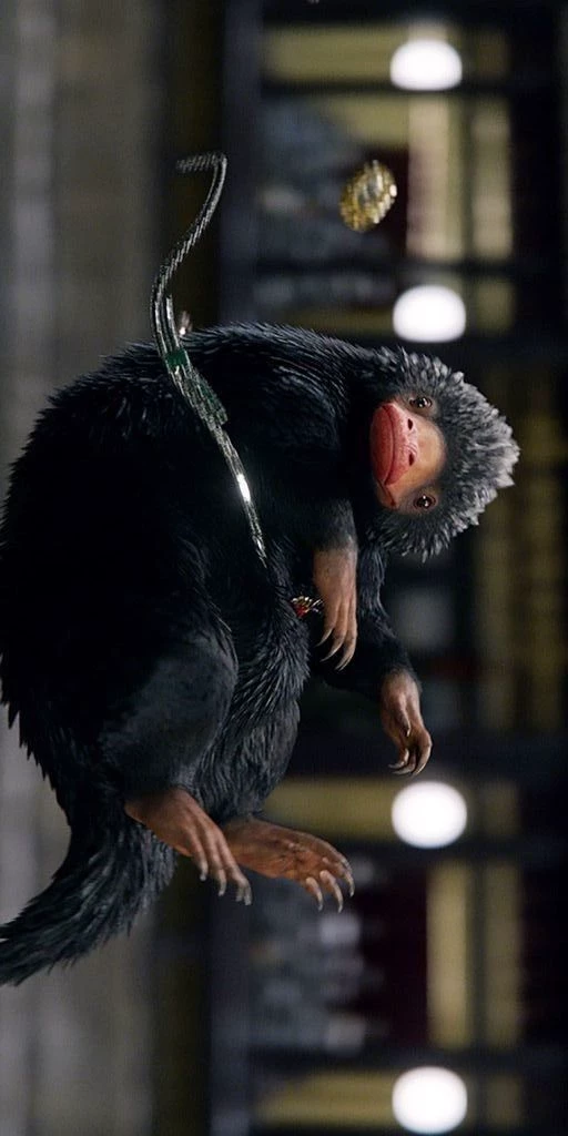 Fantastic Beasts thumbnail