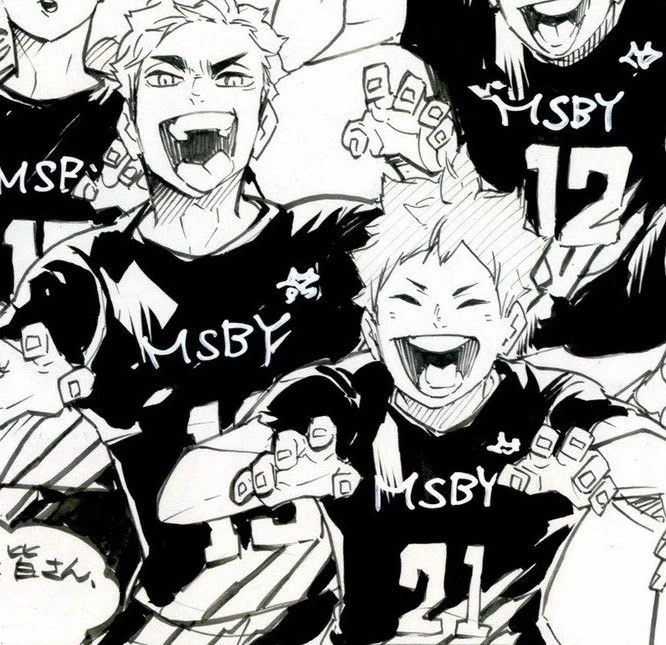 °. . . Shoyo Hinata ! . . .° thumbnail