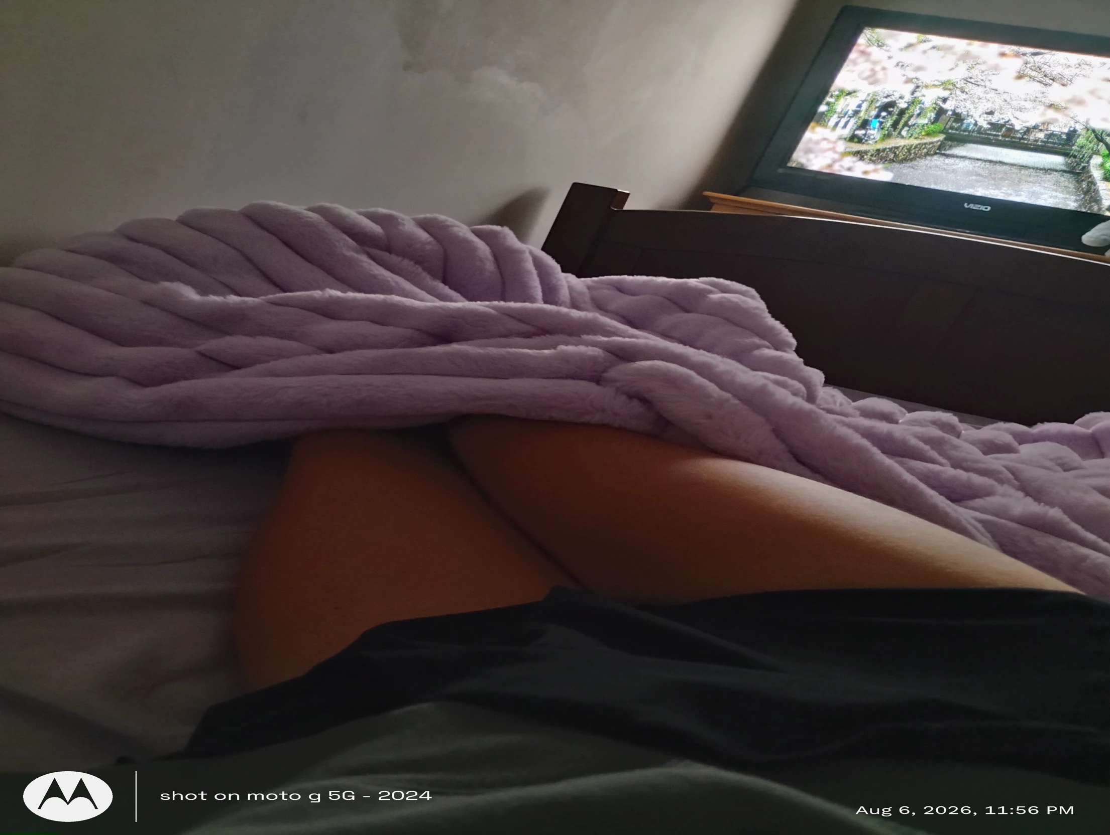 lily thumbnail